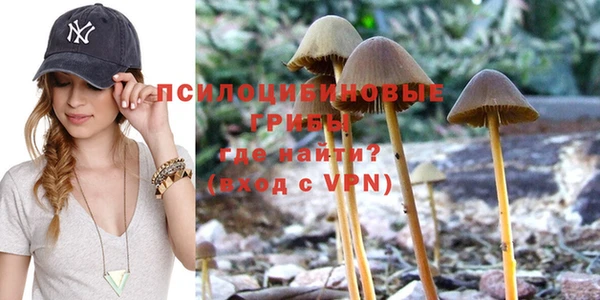 герыч Бронницы