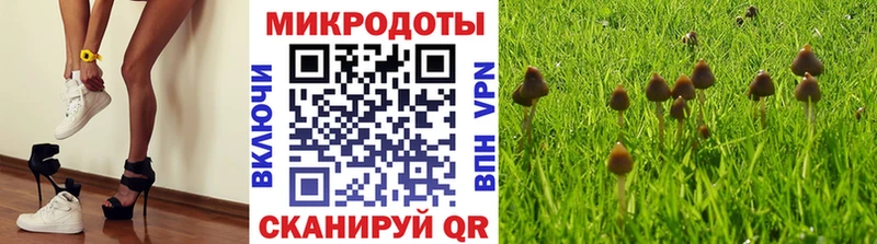 хочу наркоту  Верещагино  Псилоцибиновые грибы Cubensis 